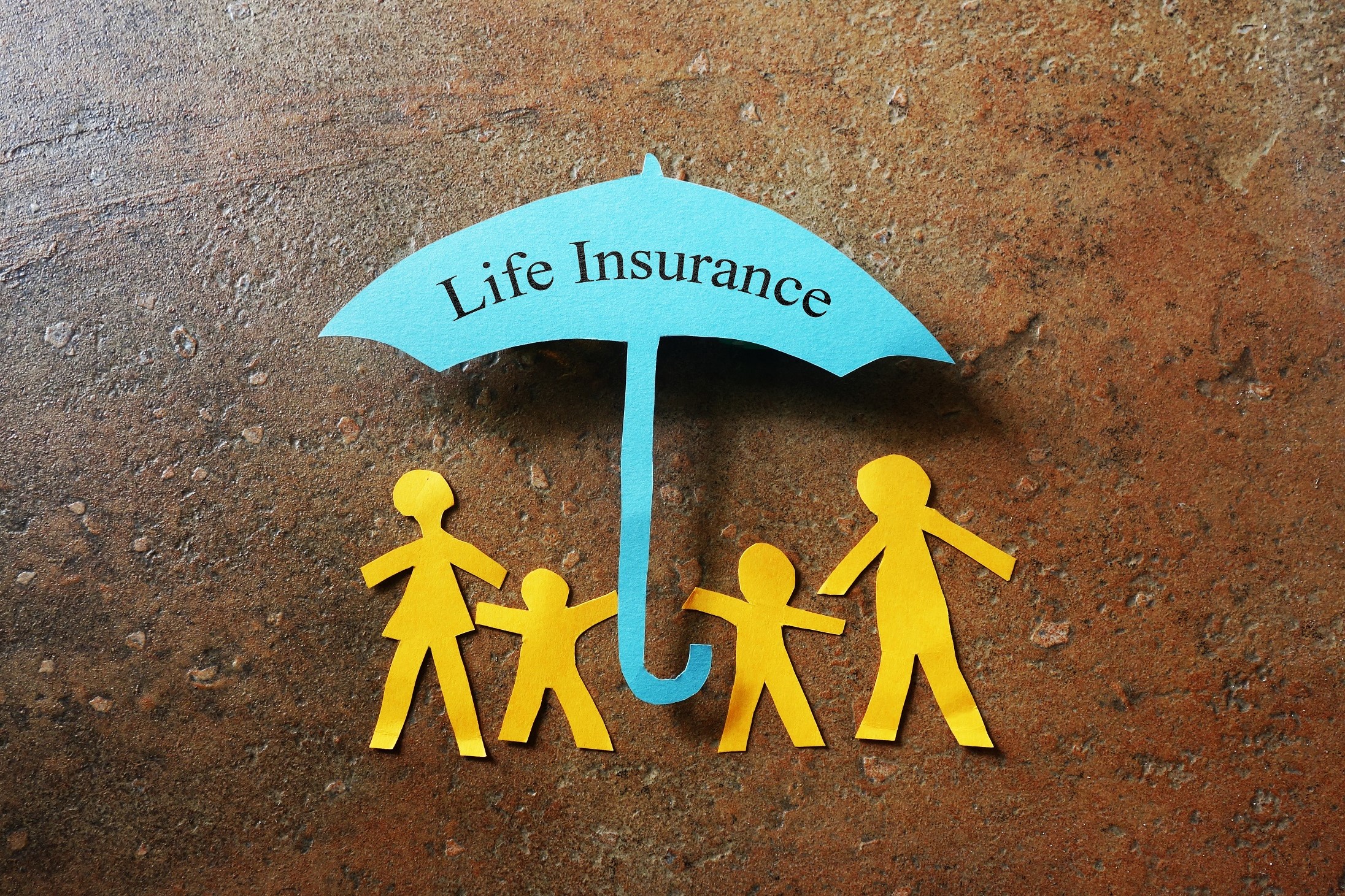 Life Insurance paper family